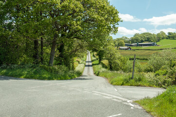 Summertime road in the countryside.