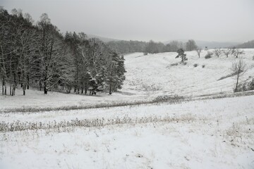 Der erst Schnee - Winterlandschaft in Th&uuml;ringen bei Rudolstadt
