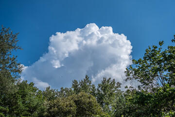 Large white cloud against a blue sky