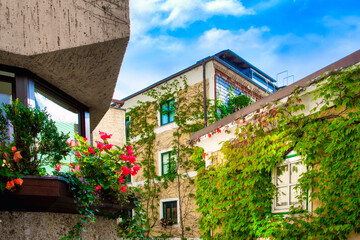 Beautiful facade covered with wild vine leaves at the Wolfgangsee in Austria.