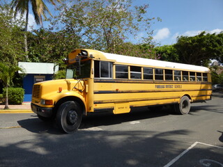 Old School Bus with Palm Trees and Blue Sky