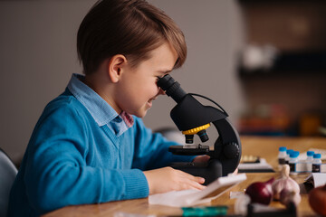 Distance online education, internet learning. First grade boy studying at home using microscope,...