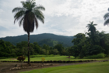 Fototapeta na wymiar Golf fairway tropical golf course San Buenas Costa Rica 