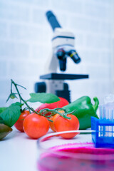 Chemical Laboratory of the Food supply . Food in laboratory, dna modify .GMO Genetically modified food in lab