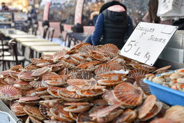 Fresh Scallops on a seafood market at Dieppe France - obrazy, fototapety, plakaty