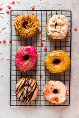 Vegan Donuts Made with Love wrapped with a Red Ribbon Valentine Day Gift Christmas Gift Sweet Gift Hand Lifting Donuts