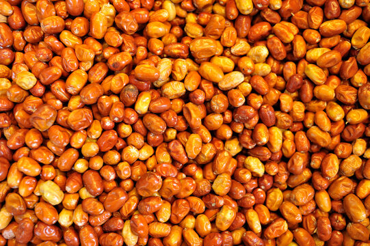 Silverberry fruit. Silverberries photo. Silver Berry fruit.