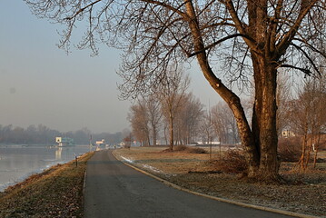 Fototapeta premium road in the winter