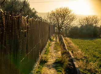 Dry ditch next to a fence with trees in the background in a winter sunset