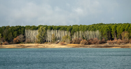 View of a pine forest on the shore of a lake in Andalusia at sunset