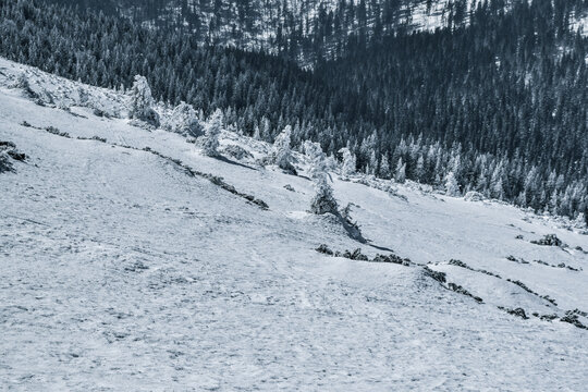 Rough Condition In Snowy Windy Mountains In Winter