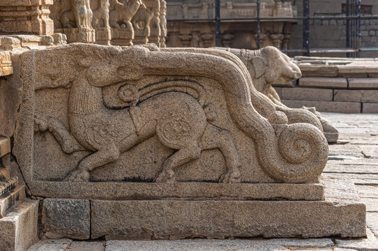 Hampi, Karnataka, India - November 5, 2013: Sri Krishna temple in ruins. Closeup of beige-stone sculpted baluster of entry steps depicting fight between lion biting tail of snake.