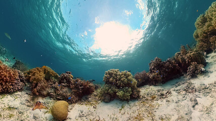 Beautiful underwater world with coral reef and tropical fishes. Philippines. Travel vacation concept © Alex Traveler