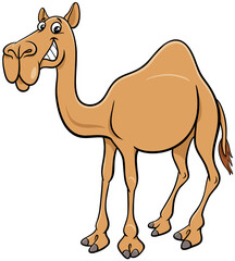 cartoon dromedary camel comic animal character
