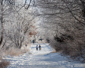 People walk under a dome of frost covered treesin winter