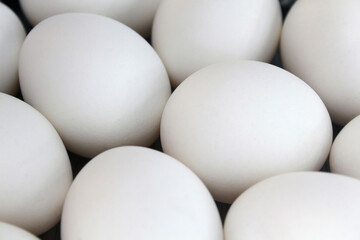 white chicken eggs on the table