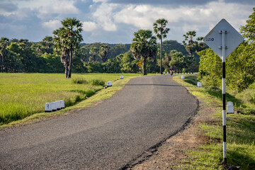 Fototapeta na wymiar road in the paddy field side