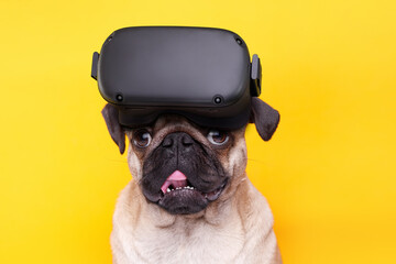 Portrait of happy dog of the pug breed. Cute smiling dog in glasses of virtual reality on yellow background. Free space for text. Augmented reality, future technology concept. VR.