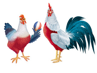 poulet, coq, de france, français, oiseau, oeuf, drapeau, fière, production, animal, ferme, volaille, coquelet, isolé, poule, rouge, blanc, bec, nature, agriculture, coloré, domestique, rural, beau bla © behzadillustrations