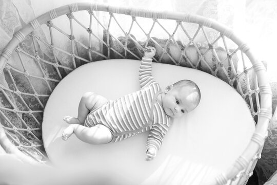 Black and white photo. Adorable newborn baby is resting in bed. Family morning at home.