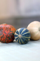 Three different gourds on the table. Selective focus.