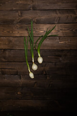 green onions  on wooden background