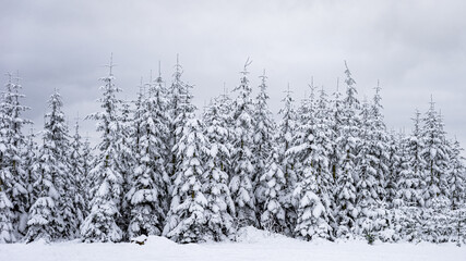 Winter Winterlandschaft