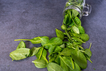 Fresh green baby spinach leaves on dark grey stone background. 