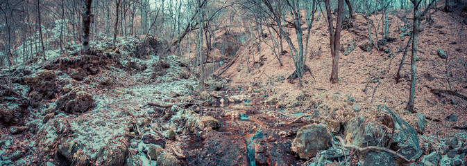 little river in the forest