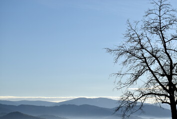Landschaft in Freiamt bei Freiburg im Winter