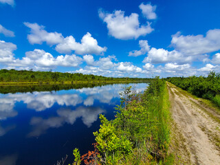 Path by the water with blue sky