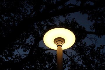 A street light shinning in the dark with blurred a big tree and night sky background,outdoor garden exterior