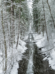 Winter deep forest with a narrow river.
