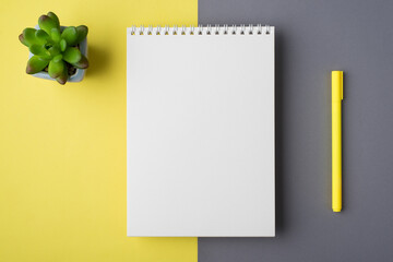 Above overhead close up view photo of clear notepad with trend pen and succulent isolated over halved bright yellow and grey colors backdrop