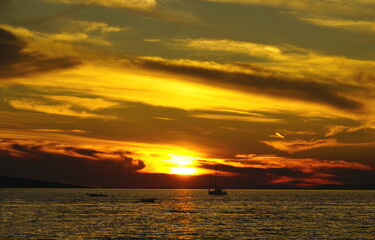 Fototapeta premium Vibrant golden, yellow an brown colors at sea sunset