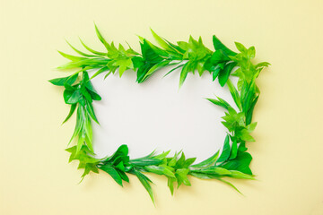 Frame with green leaves with white copy space on a light yellow background.