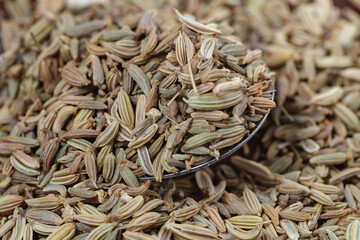 close up of seeds, fennel seeds in spoon on wooden table