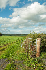 Obraz premium Farm gate in the countryside