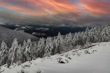 Paisajes nevados en el valle de Artikutza, zona de Bianditz
