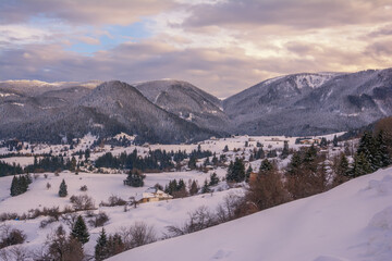 Fototapeta na wymiar Winter forest, mountain landscape in the wintertime, snow-covered trees. Bulgaria, Gela, Rhodope Mountains