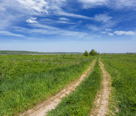 Fototapeta na wymiar pathway in summer steppe