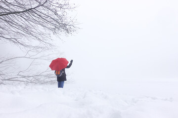 girl with umbrella in a snowy winter scene