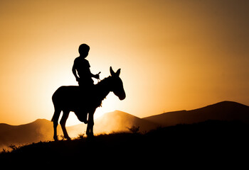 silhouette of horse