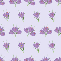 Fototapeta na wymiar Seamless pattern with Crocus. Spring flowers. Vector isolated illustration. Element for wrapping paper, textile, wallpaper or others