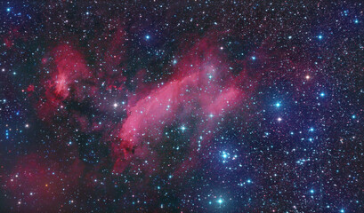 Fototapeta na wymiar Prawn Nebula