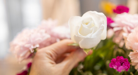 Hand holding a blooming white rose with blurred colorful floral background, mixed flowers bouquet for decoration at a romantic wedding celebration. Happy moment, the sweet love concept. Valentines day