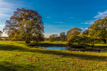 A view across the Parsons Pond near Bury St Edmunds, Suffolk