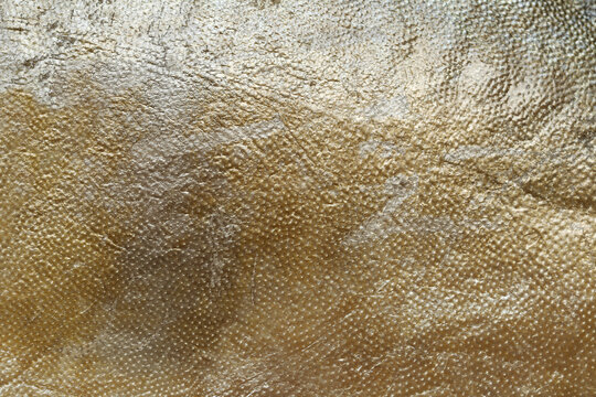 Texture of Manakatsuo fish.