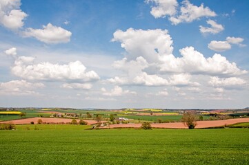 Springtime agricultural landscape