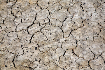 Gobi Desert near Sainshand. Mongolia